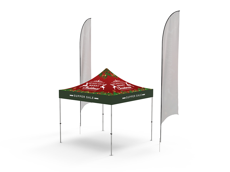 tent-10x10ft-package_SPT-H-01V2CCW17_gallery-4-800×600